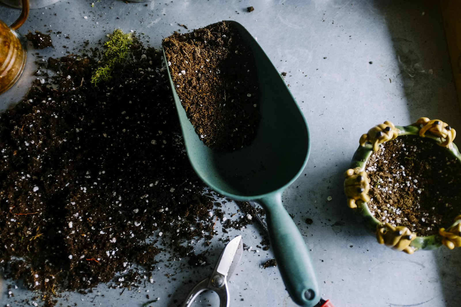 Fresh soil and seed-starting tools