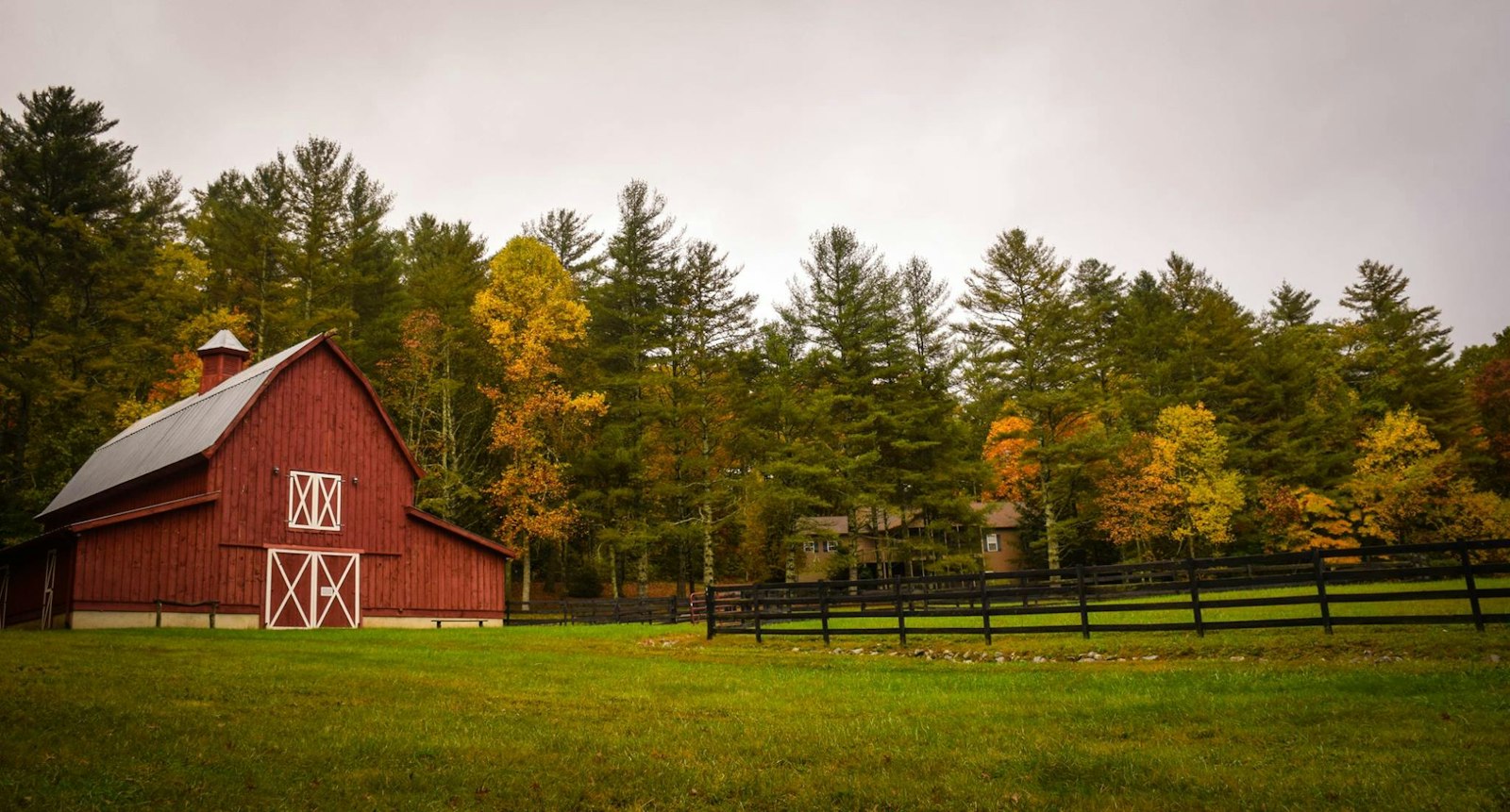 Our red barn on the seed farm in Vermont